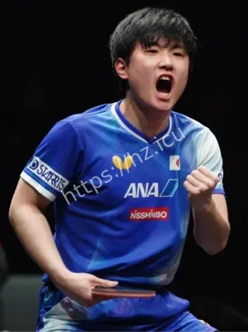 张本智WTT总决赛夺冠