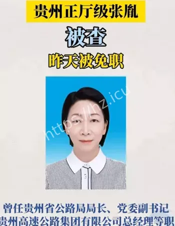 贵州女厅长张胤
